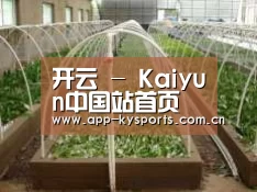 环境展示五