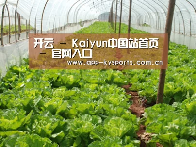 种植基地五