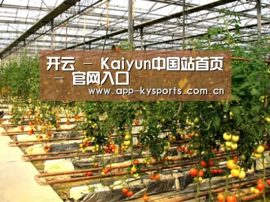 种植基地二