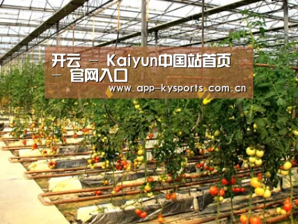 种植基地二(图1)